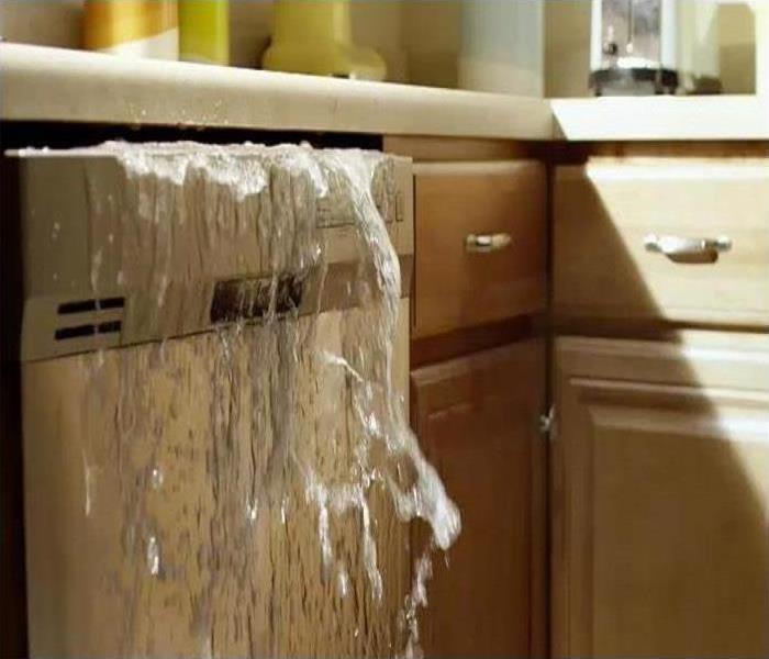 Photos shows a dishwasher with water gushing out of it.  